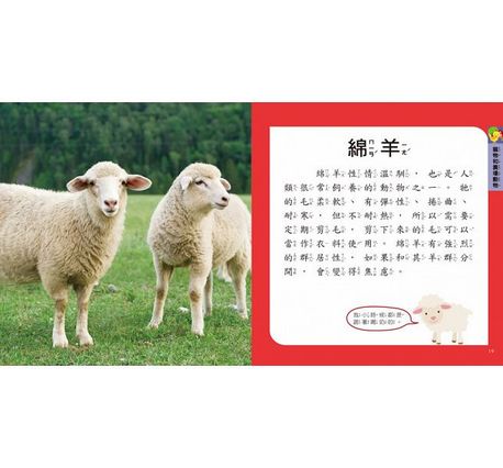 小小知識通：我的第一本動物博士小百科（內附12款動物學習模型+動物世界探險遊戲組）